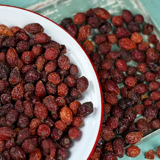 ROSEHIP - ROSA RUBIGINOSA