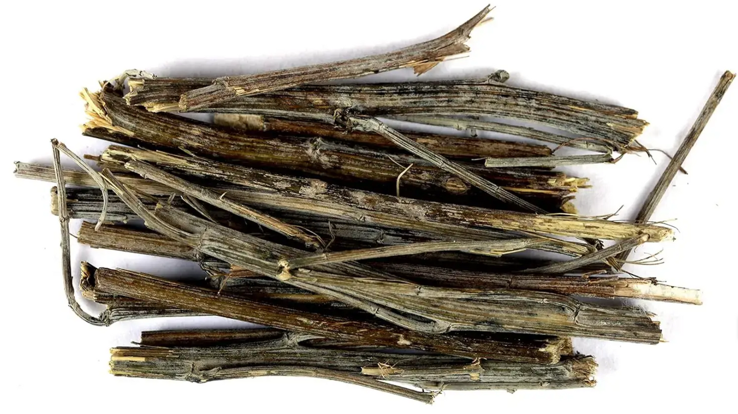 AFSANTEEN / WORMWOOD - ARTEMISIA ABSINTHIUM