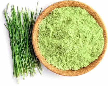 WHEAT GRASS Powder - THINUPYRUM INTERMEDIUM
