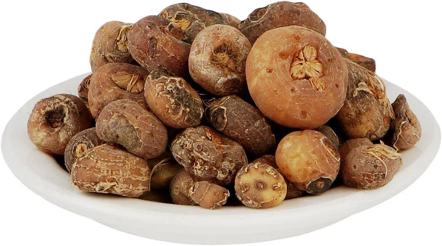 ZARAVAND / TAL MISHRI/SMEARWORT - ZARAVAND MUDHARIJ