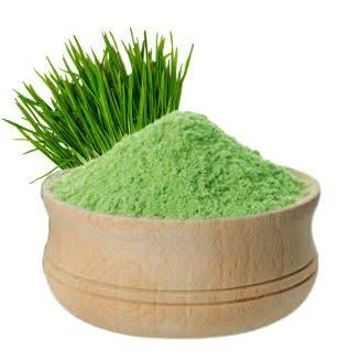 WHEAT GRASS Powder - THINUPYRUM INTERMEDIUM